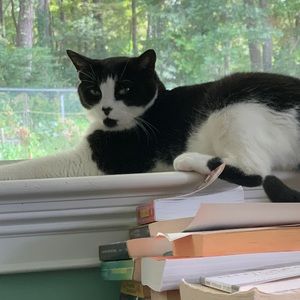 Meet your Posher, Olga